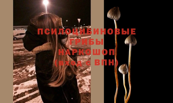 Альфа ПВП Баксан